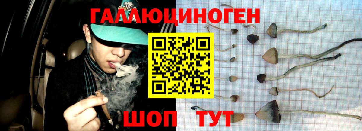 Псилоцибиновые грибы мухоморы  Вход с VPN  Сегежа  дарнет шоп  Галлюциногенные грибы Psilocybine cubensis 