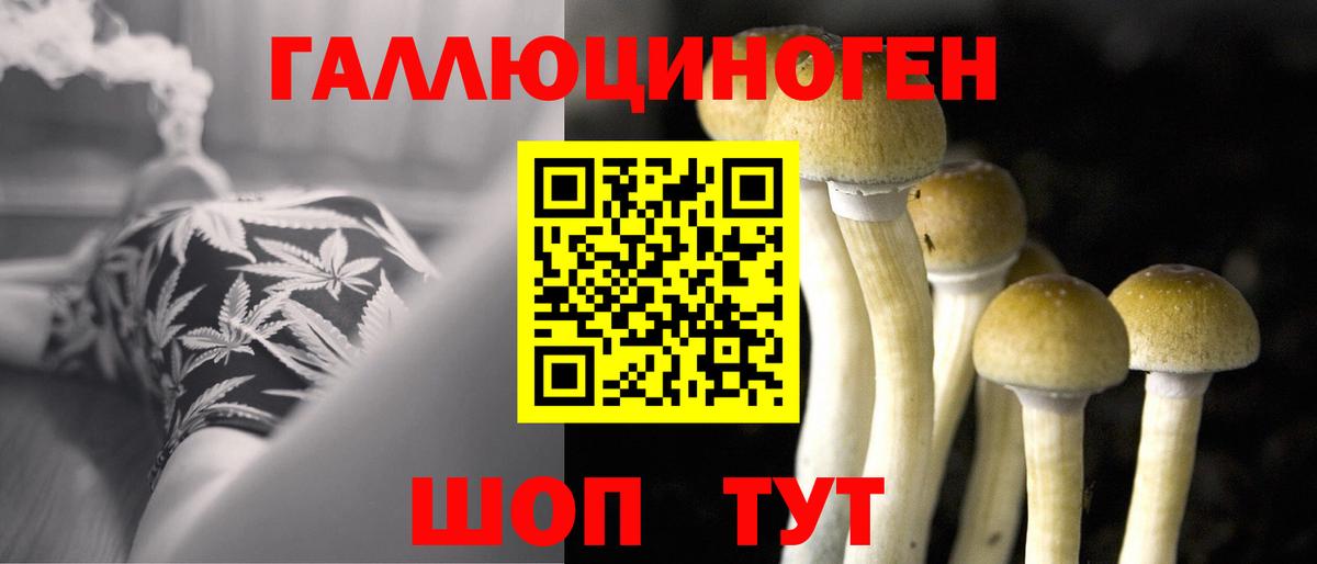 Галлюциногенные грибы Psilocybe Сегежа