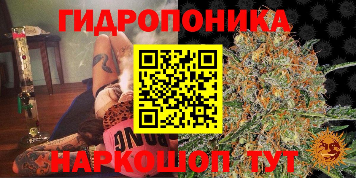 Каннабис конопля Сегежа